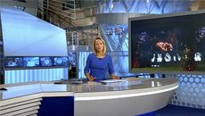 Дни Москвы в Тульской области